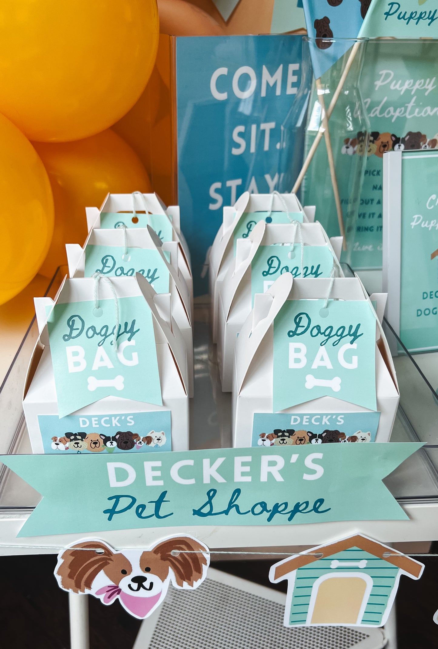Puppy Pawty Set
