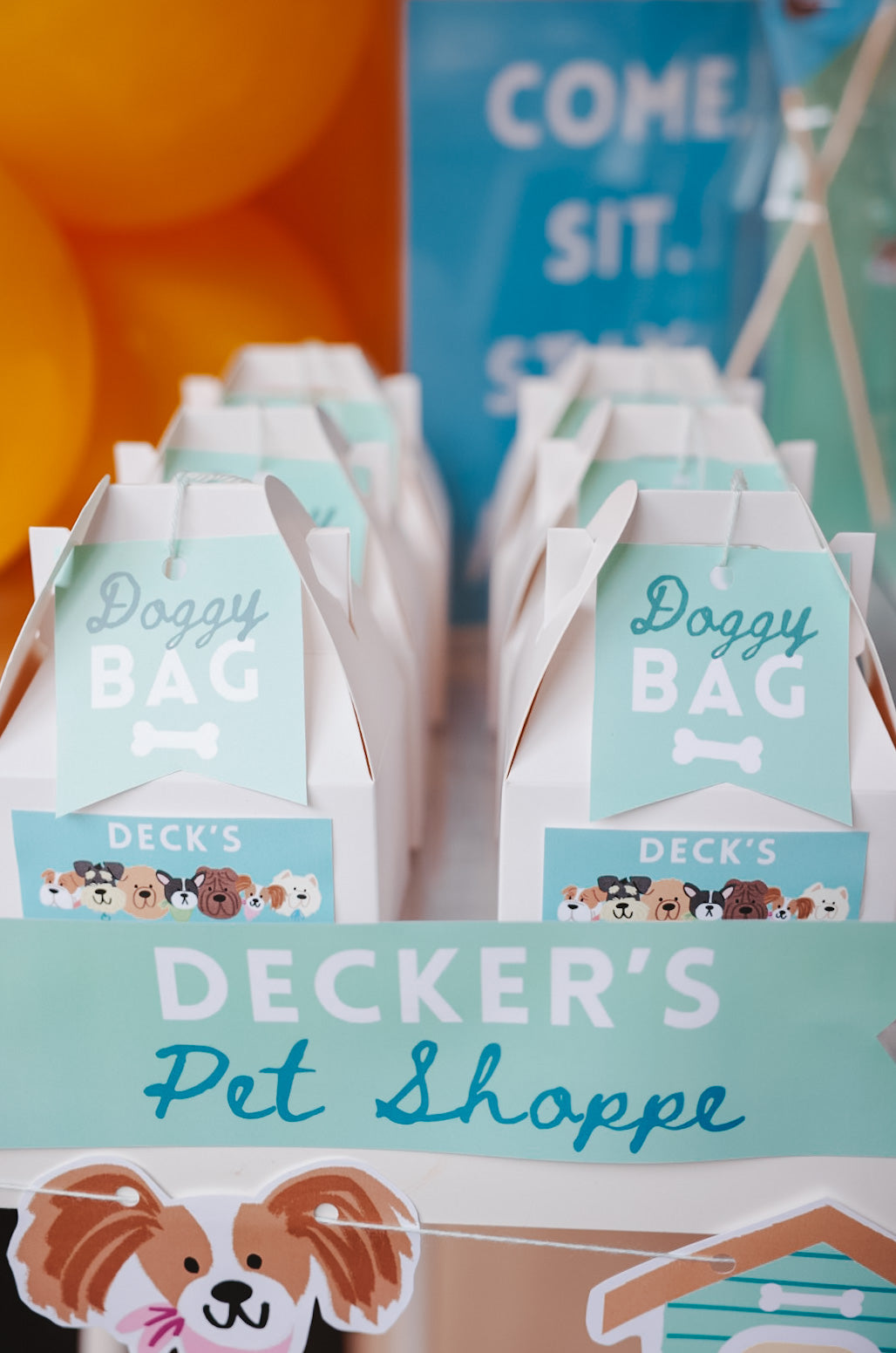 Puppy Pawty Set