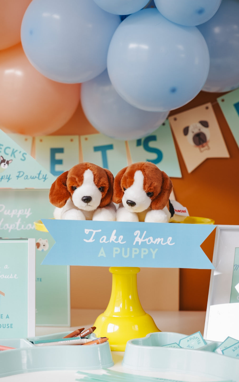 Puppy Pawty Set