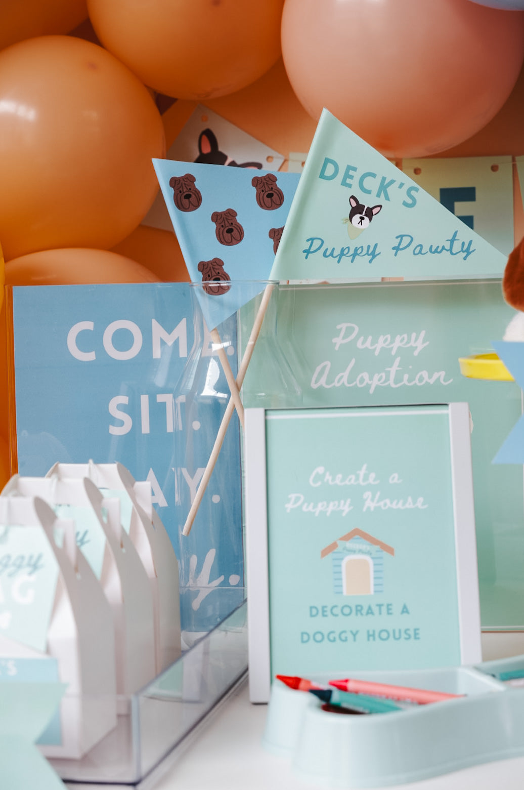 Puppy Pawty Set
