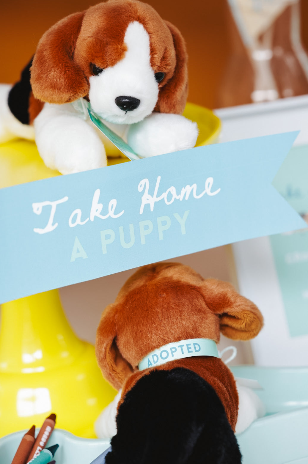 Puppy Pawty Set
