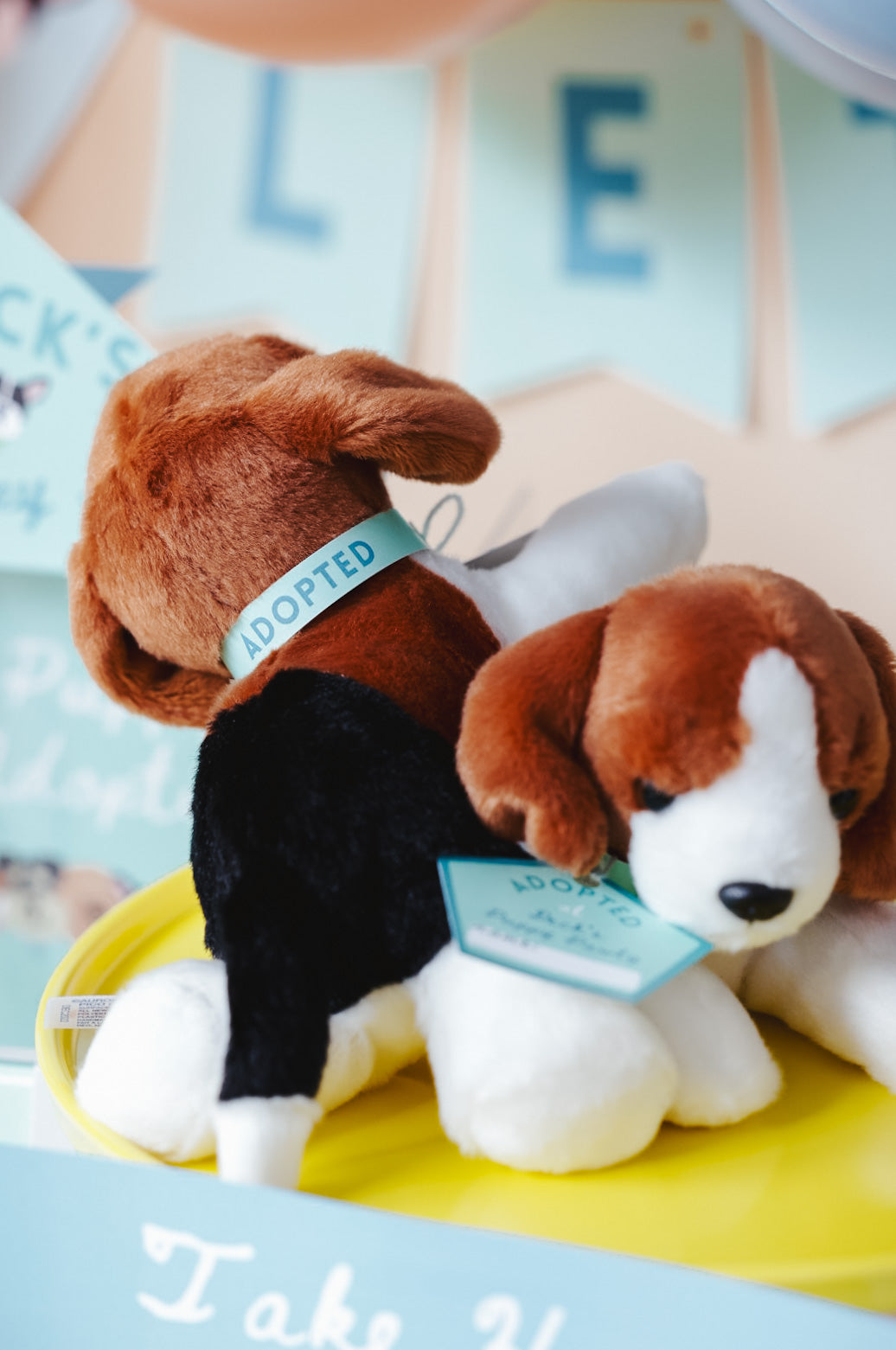 Puppy Pawty Set