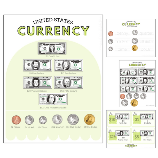 US Currency Money Pack