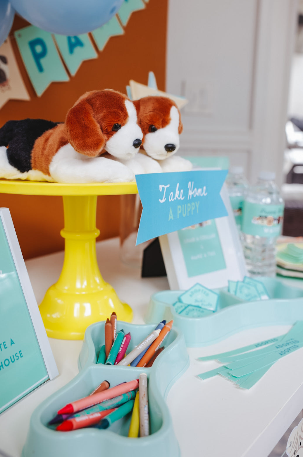 Puppy Pawty Set