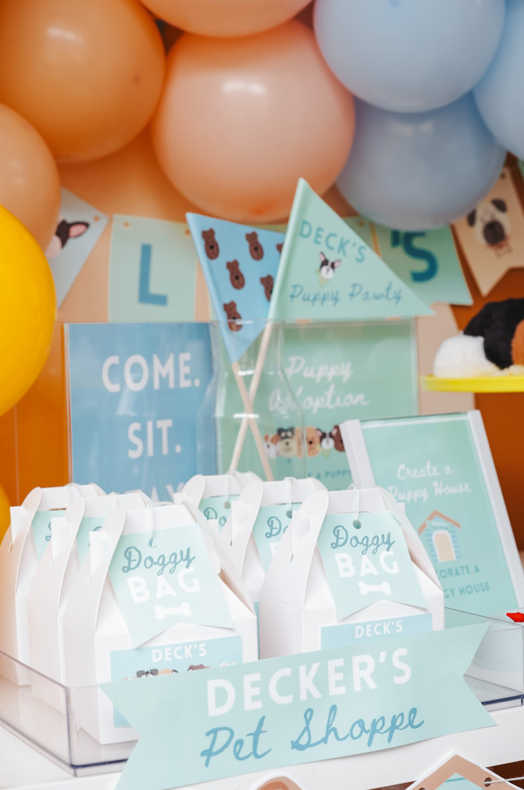 Puppy Pawty Set