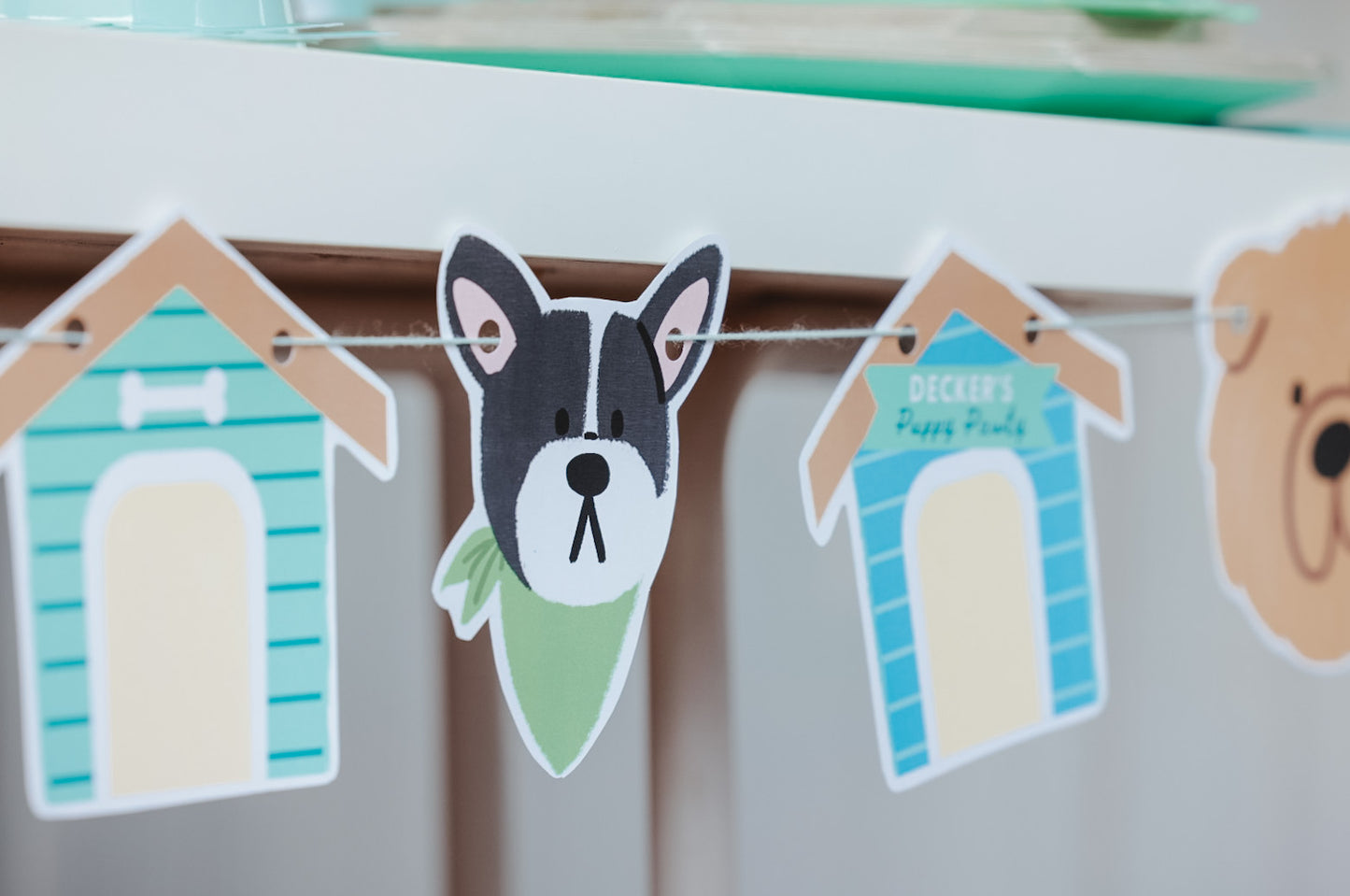 Puppy Pawty Set
