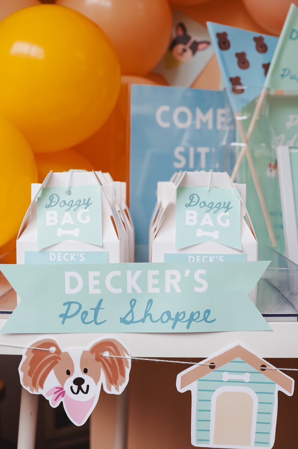 Puppy Pawty Set
