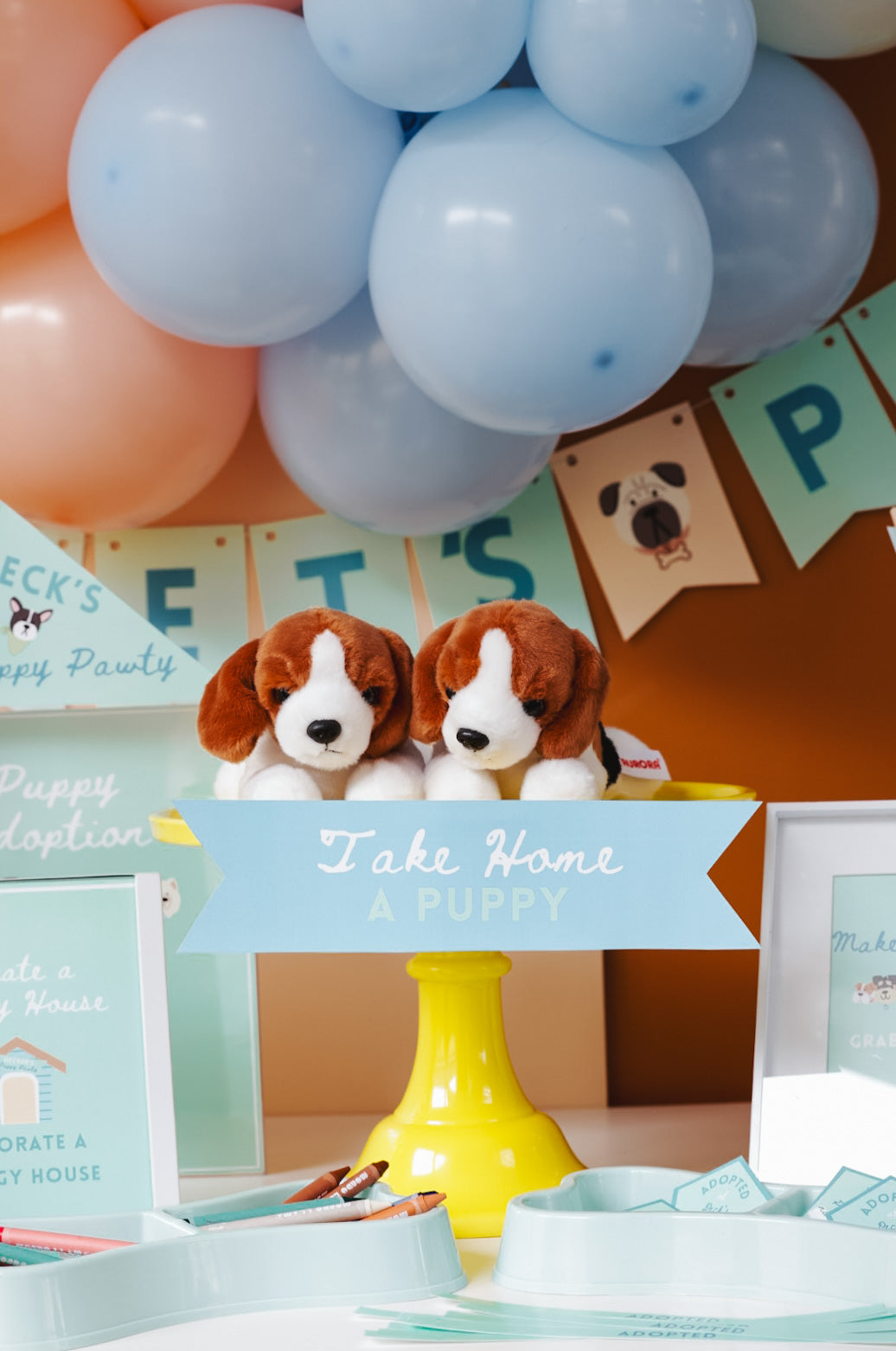 Puppy Pawty Set