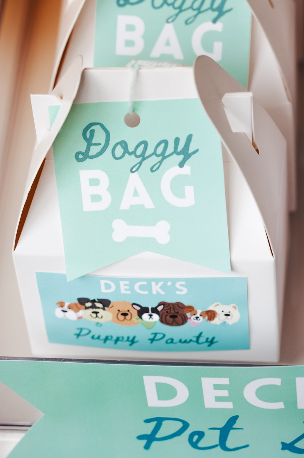 Puppy Pawty Set