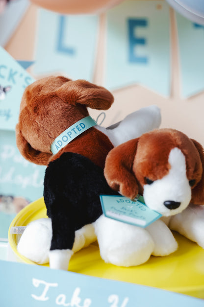 Puppy Pawty Set